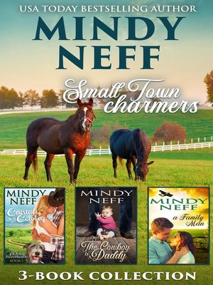 cover image of Small Town Charmers